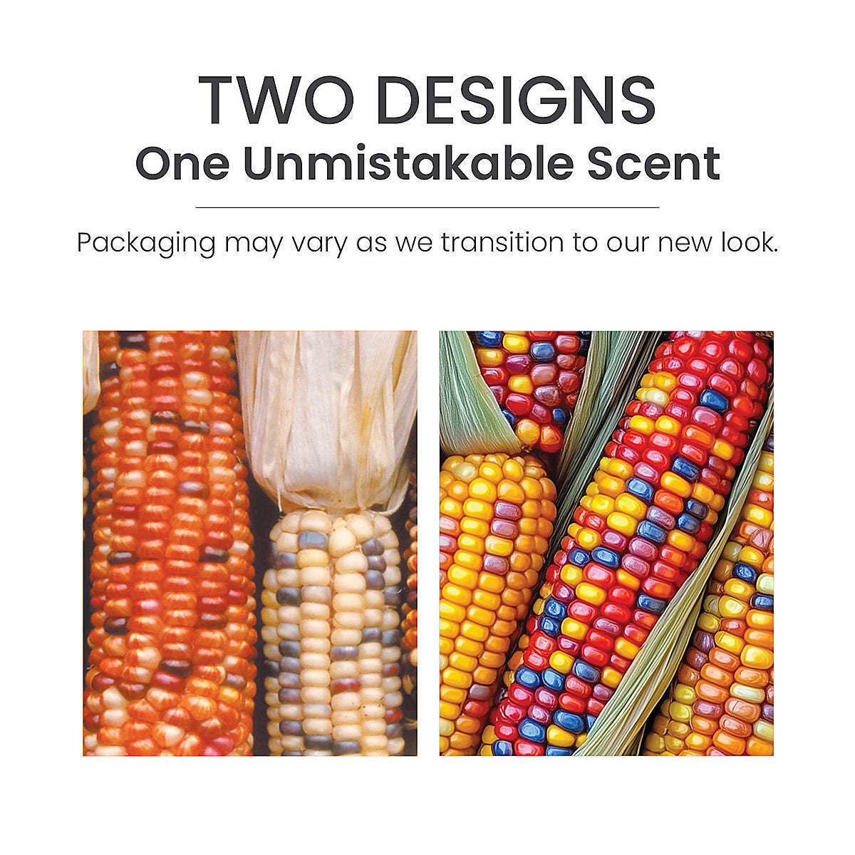 Harvest® Scenterpiece® Easy MeltCup - US 14369