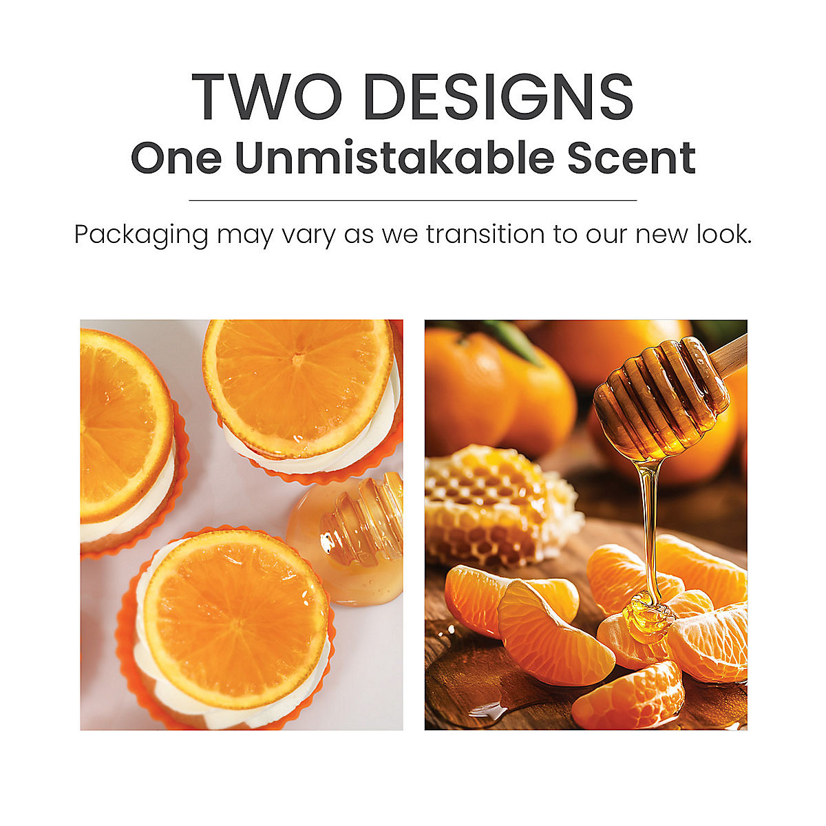 Honey Clementine ScentPlug® Refill - US 29177