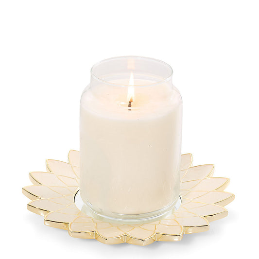 Lustra Shell Candle Tray - US 11315