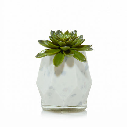 Faceted Succulent ScentPlug® Diffuser with Light - US 04249