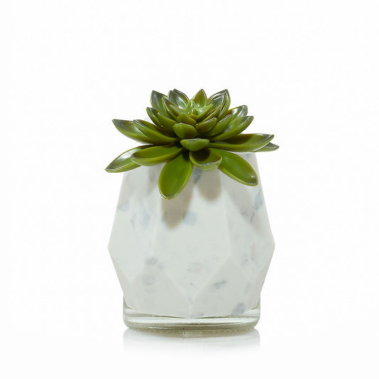 Faceted Succulent ScentPlug® Diffuser with Light - US 04249