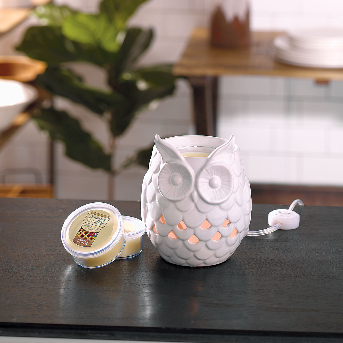Owl Scenterpiece® MeltCup Warmer - US 77732