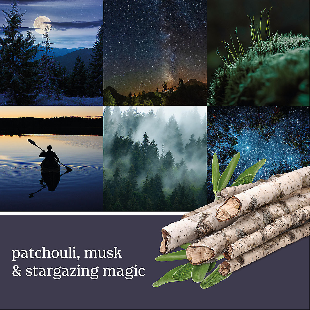 MidSummer's Night® - US 76542