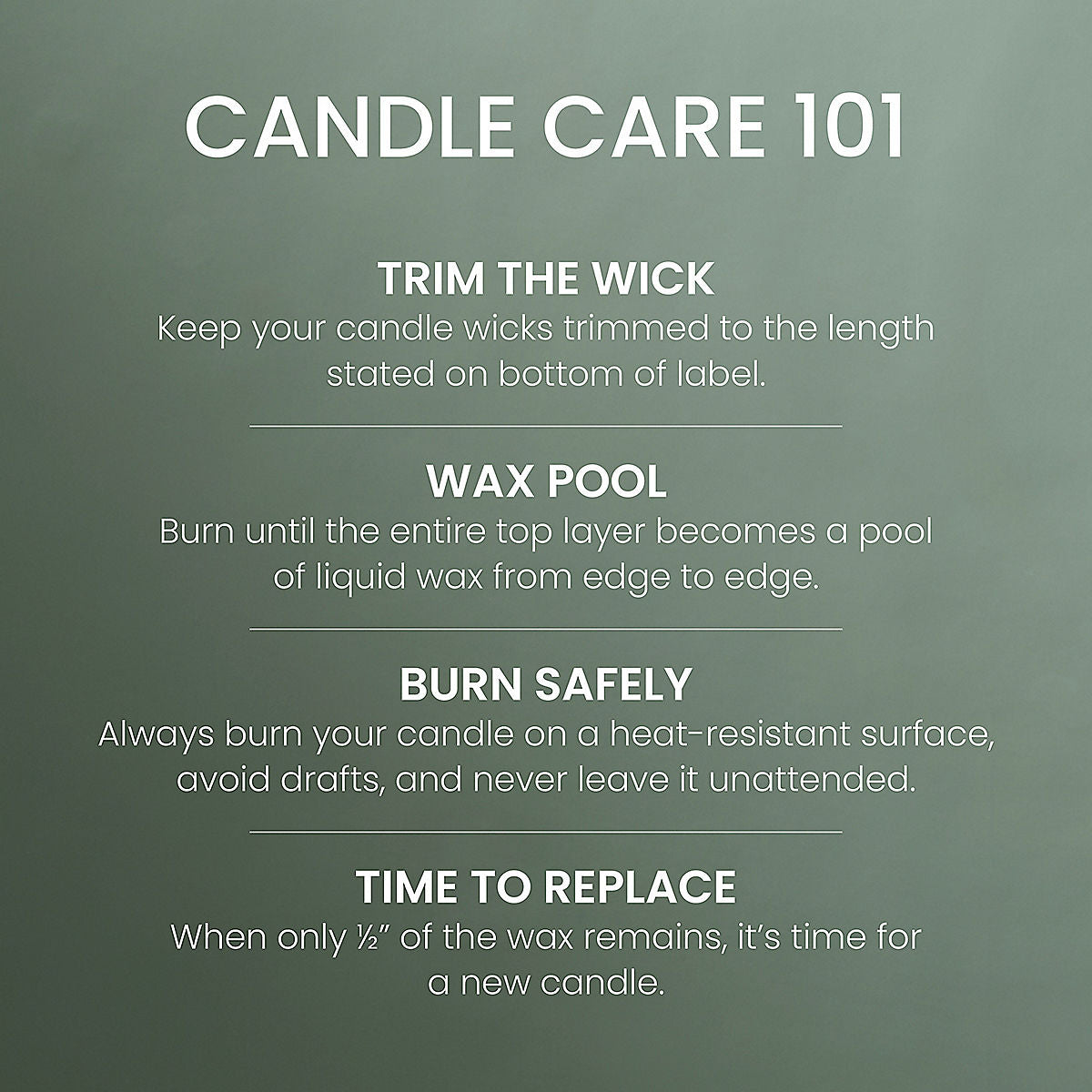Scripted Spruce Original Large Jar Candle - US 96205