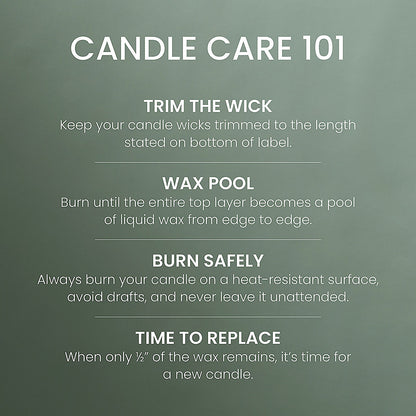 Scripted Spruce Original Large Jar Candle - US 96205