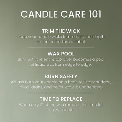 Cardamom Woods Original Large Jar Candle - US 20199