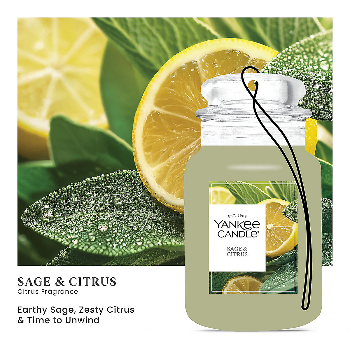 Sage & Citrus Car Jar® - US 96838