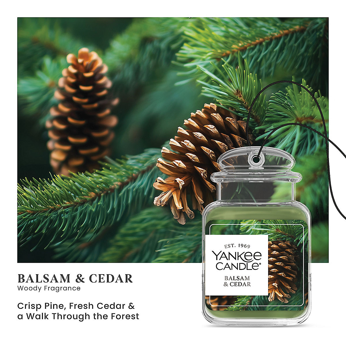 Balsam & Cedar Car Jar® Ultimate - US 02086