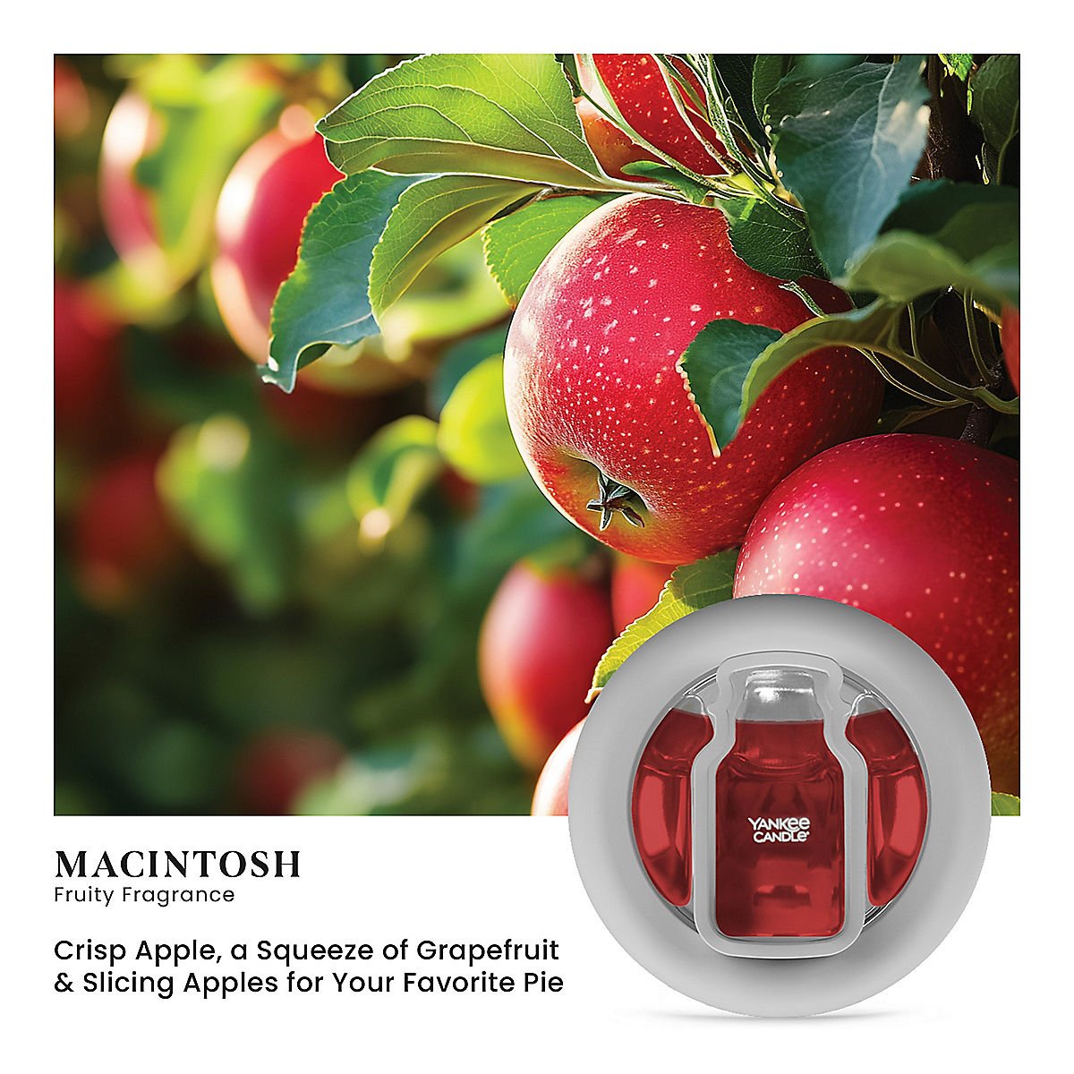 Macintosh Smart Scent™ Vent Clip - US 24626