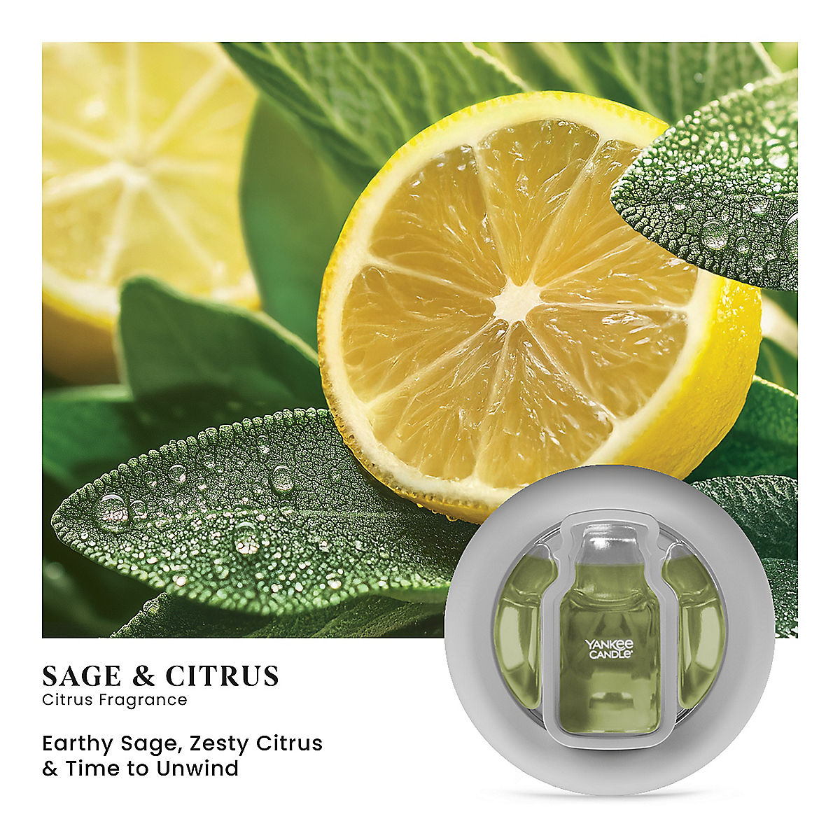 Sage & Citrus Smart Scent™ Vent Clip - US 47965