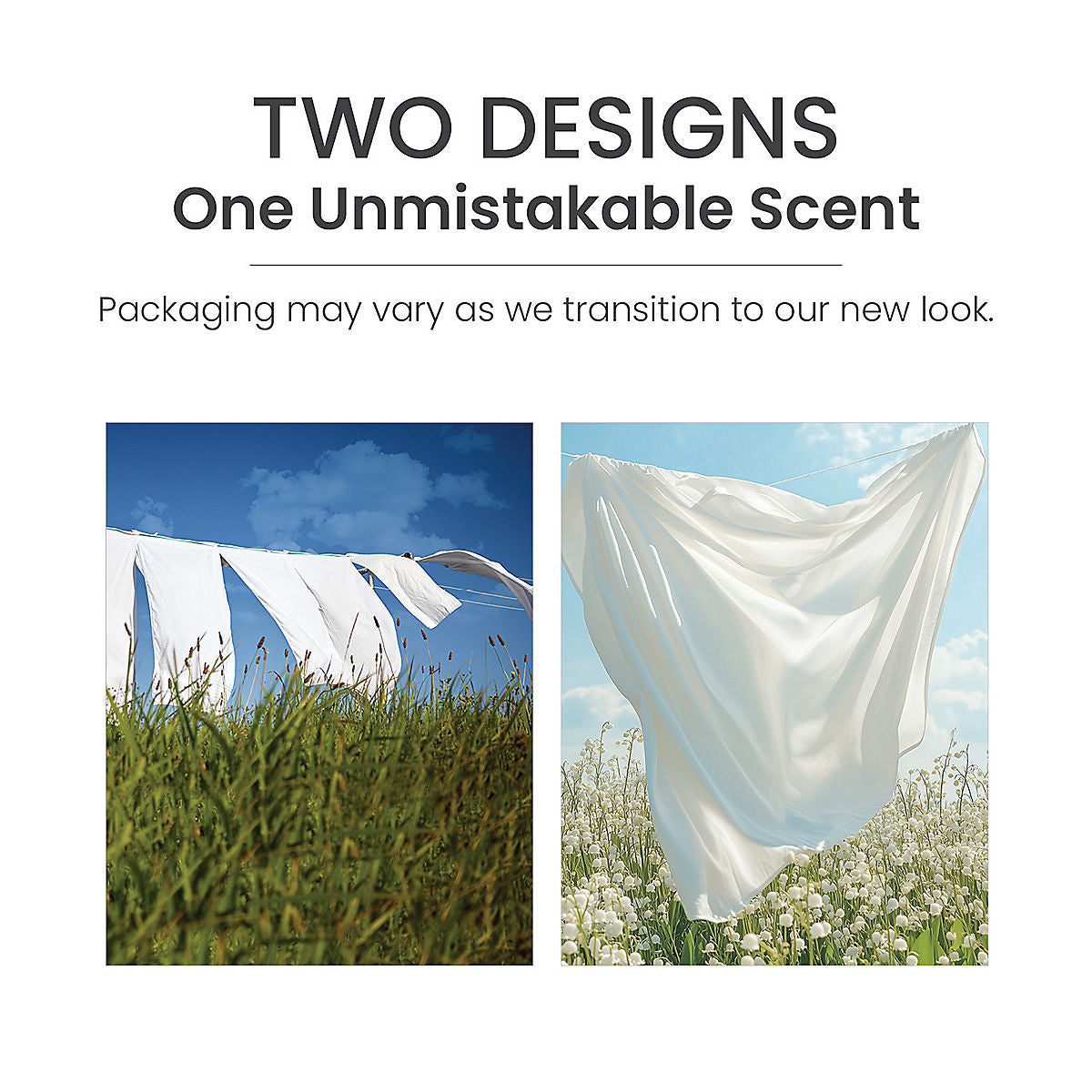 Clean Cotton® Car Jar® - US 33528