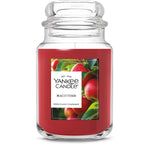 Macintosh Original Large Jar Candle - US 07540