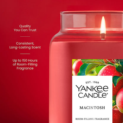 Macintosh Original Large Jar Candle - US 07540