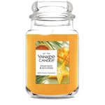 Starfruit & Sunshine Original Large Jar Candle - US 21820