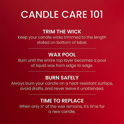 Cherries On Snow™ 3-Wick Candle - US 69375