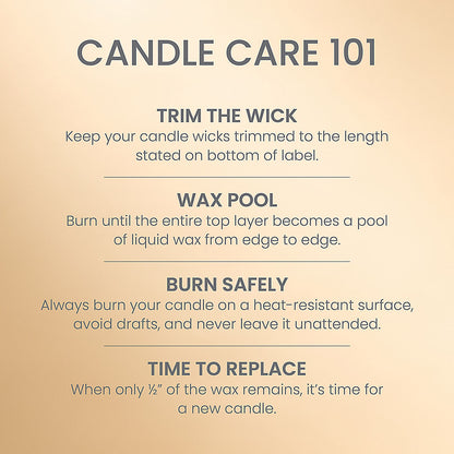 French Vanilla 3-Wick Candle - US 18622