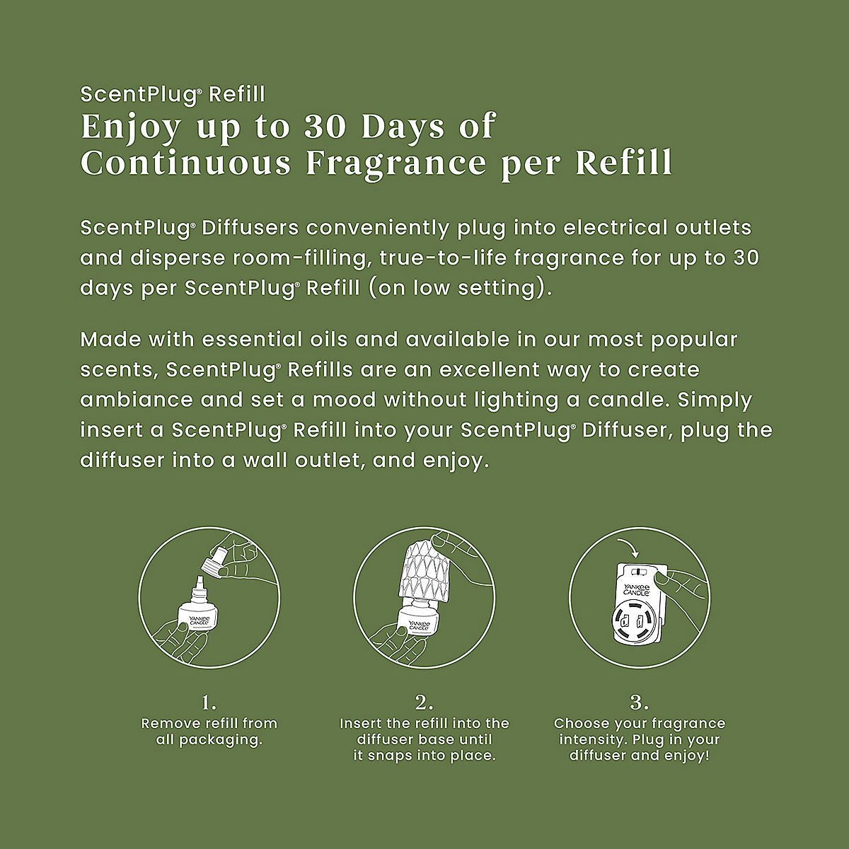 Balsam & Cedar ScentPlug® Refill - US 42904