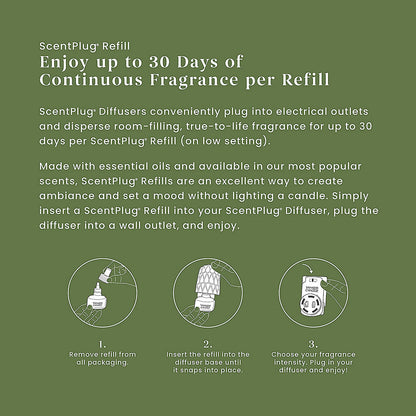 Balsam & Cedar ScentPlug® Refill - US 42904