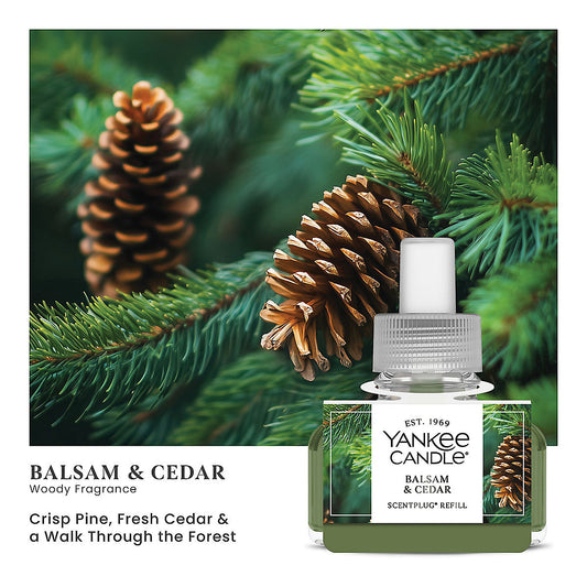 Balsam & Cedar ScentPlug® Refill - US 42904