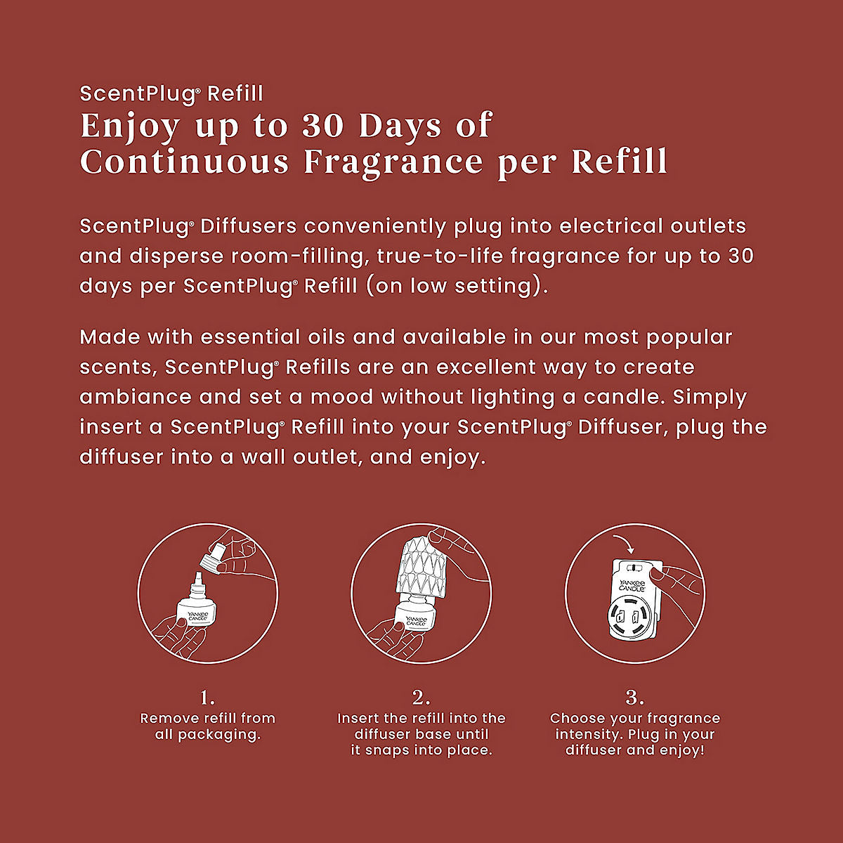 Sparkling Cinnamon ScentPlug® Refill - US 50411