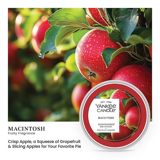 Macintosh Scenterpiece® Easy MeltCup - US 83771