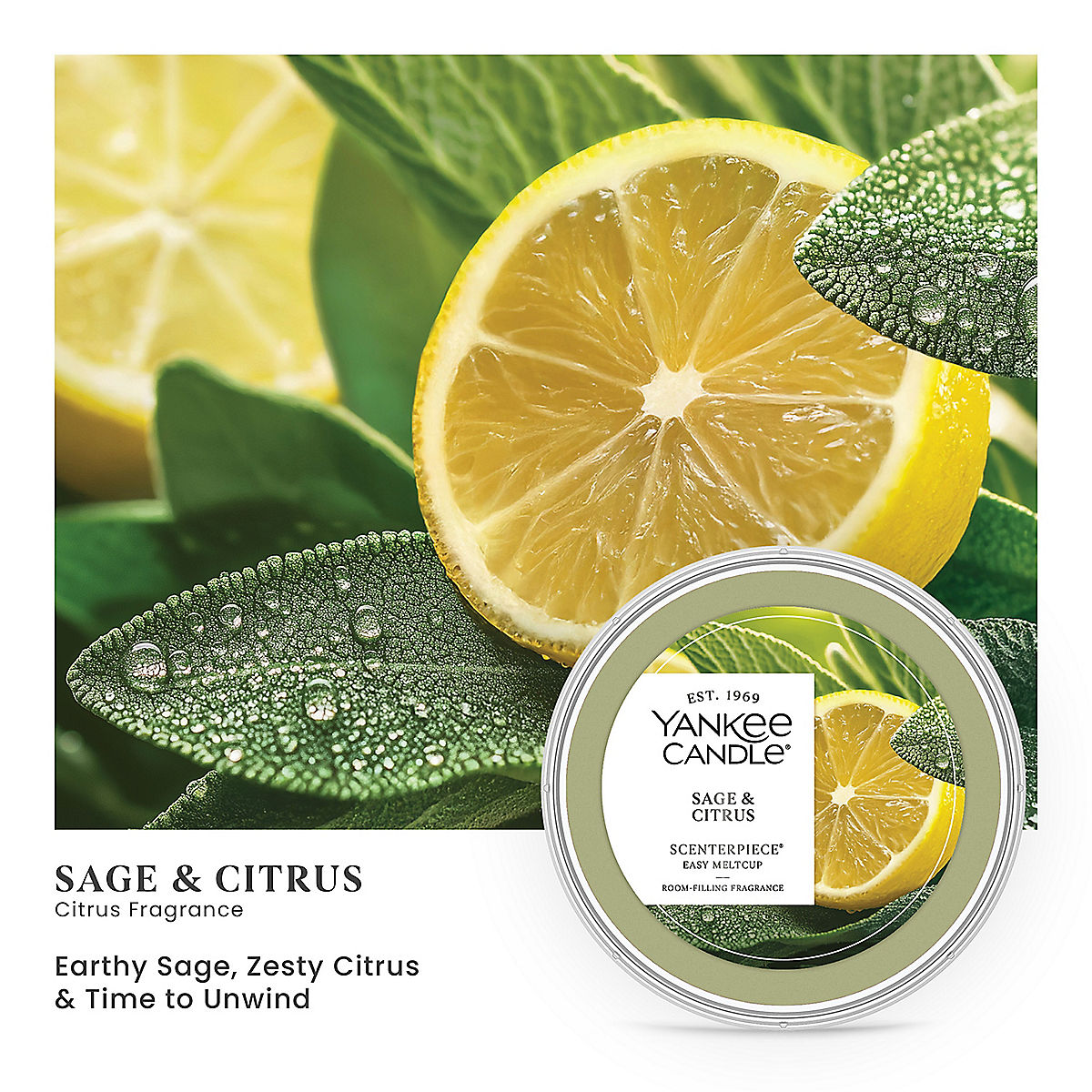 Sage & Citrus Scenterpiece® Easy MeltCup - US 84107