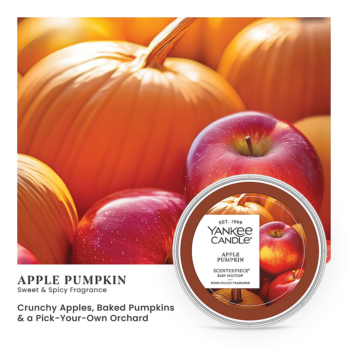 Apple Pumpkin Scenterpiece® Easy MeltCup - US 32980