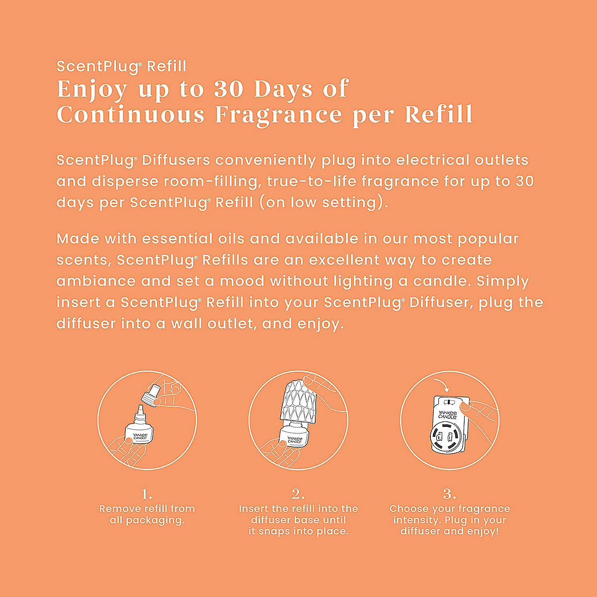 Honey Clementine ScentPlug® Refill - US 29177