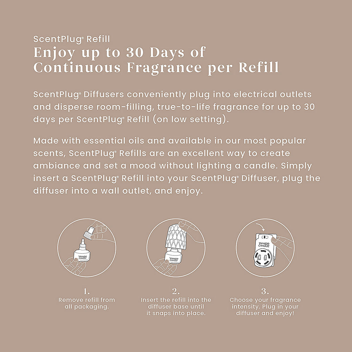 Seaside Woods ScentPlug® Refill - US 11211