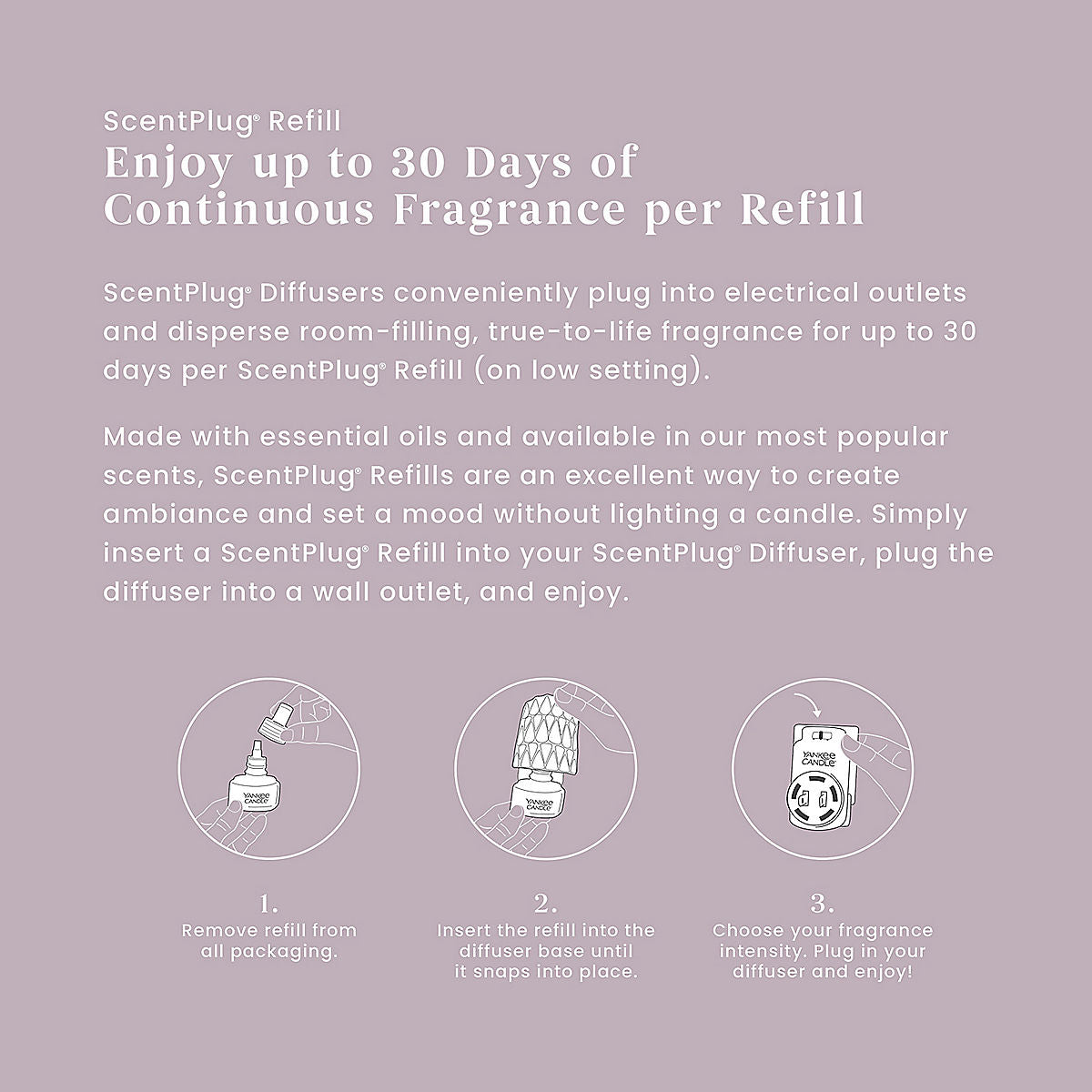 Dried Lavender & Oak ScentPlug® Refill - US 57970