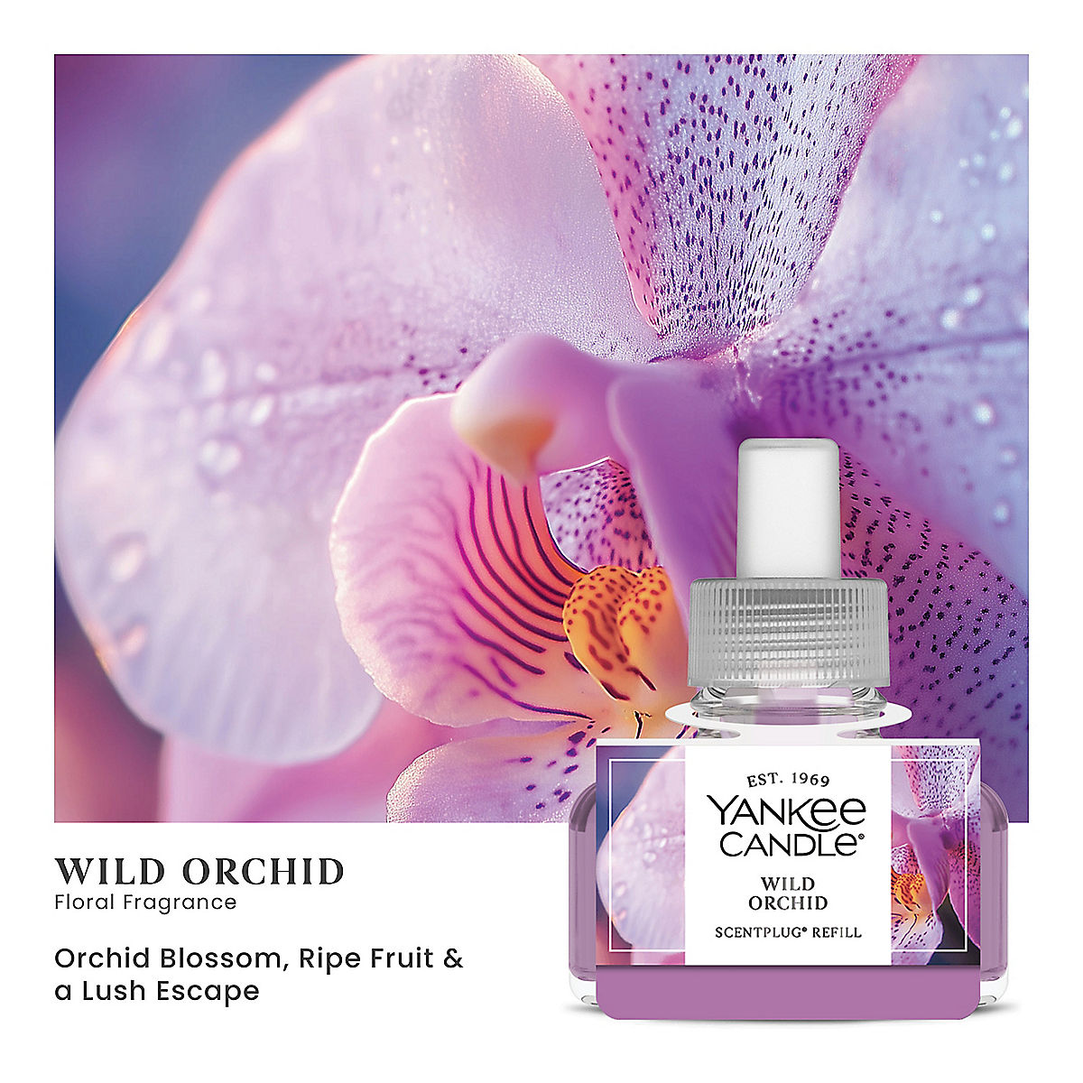Wild Orchid ScentPlug® Refill - US 45680