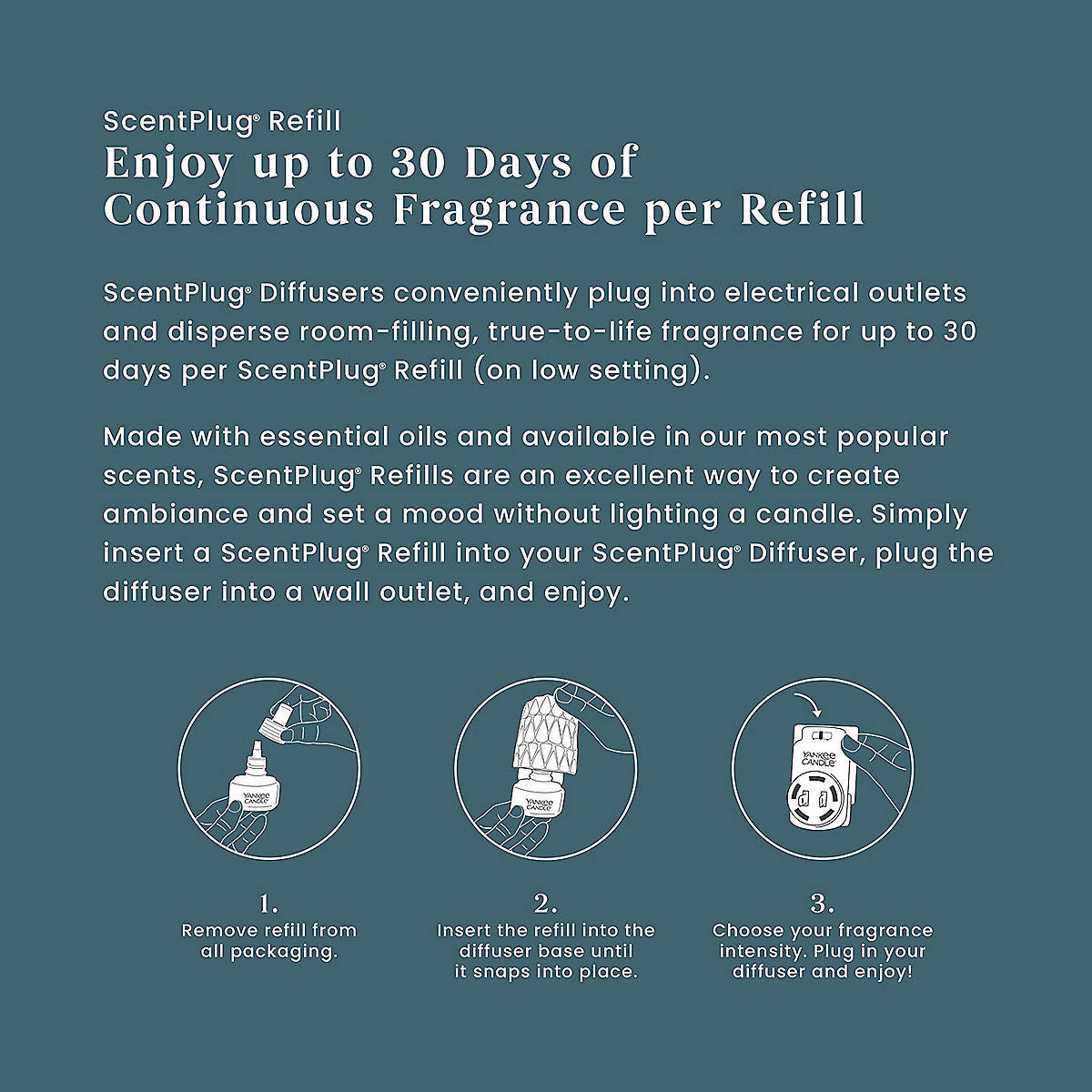 Bayside Cedar ScentPlug® Refill - US 88855