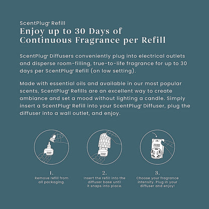 Bayside Cedar ScentPlug® Refill - US 88855