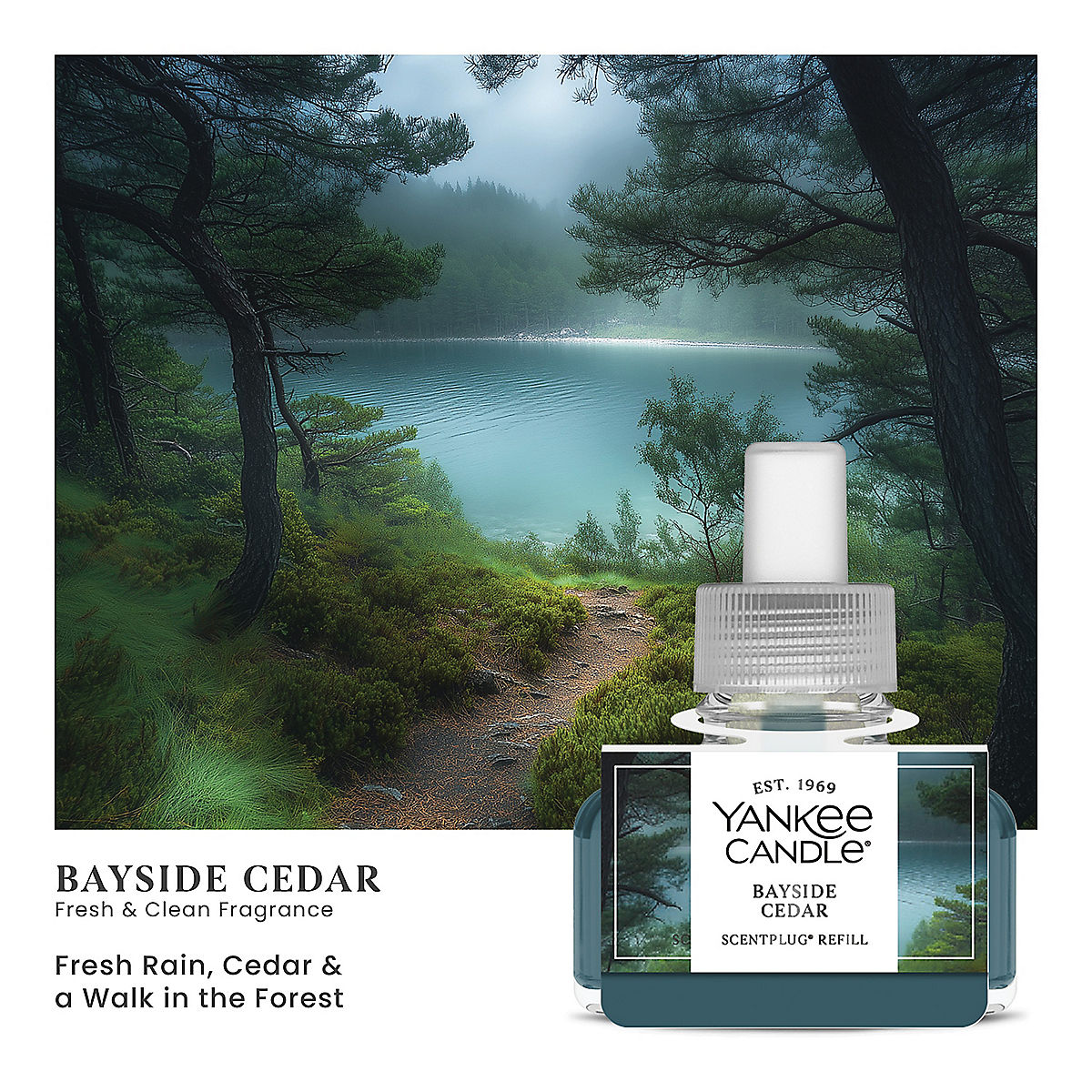 Bayside Cedar ScentPlug® Refill - US 88855
