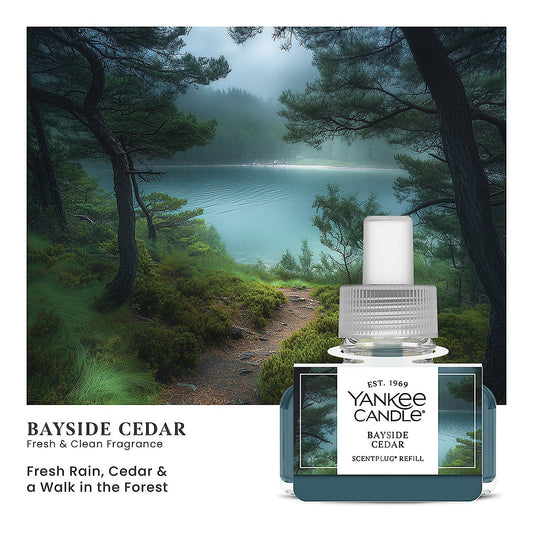Bayside Cedar ScentPlug® Refill - US 88855