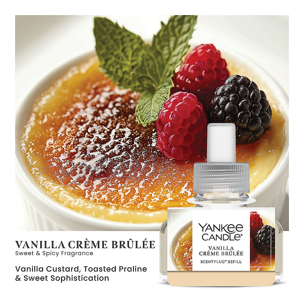 Vanilla Crème Brûlée ScentPlug® Refill - US 89173