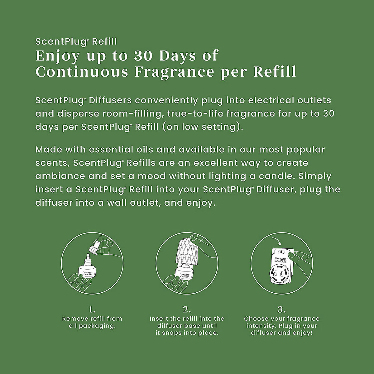 Shimmering Christmas Tree ScentPlug® Refills - US 66029