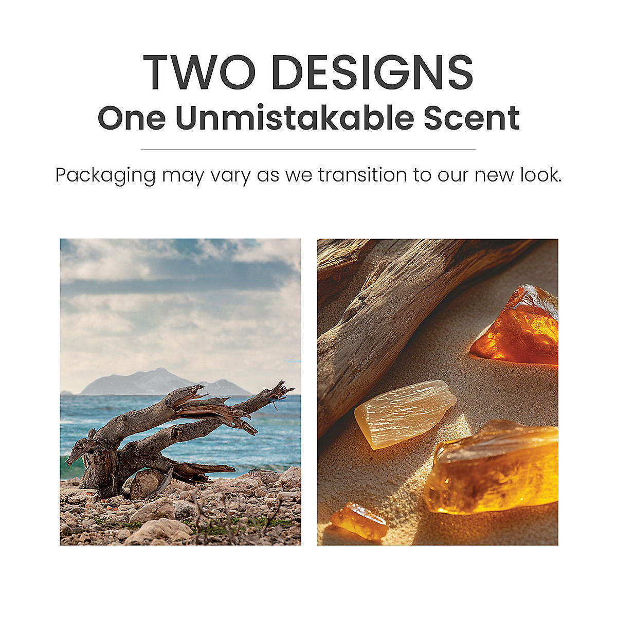 Amber & Sandalwood ScentPlug® Refill - US 46323