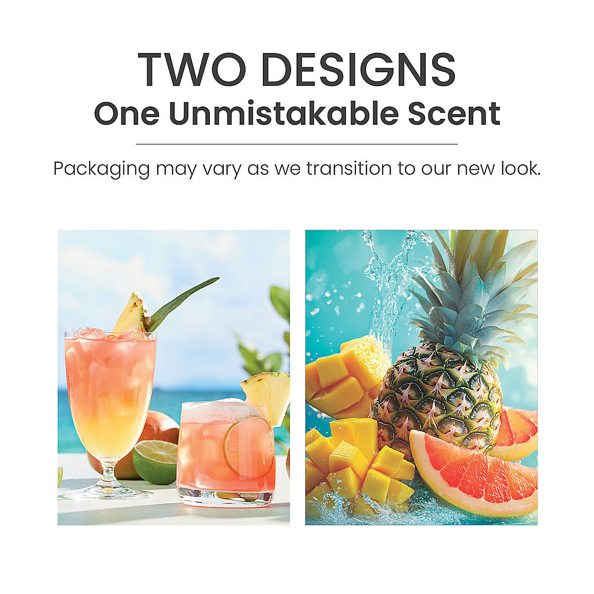 Bahama Breeze™ Sidekick® Fragrance Refill 2-Pack - US 47976