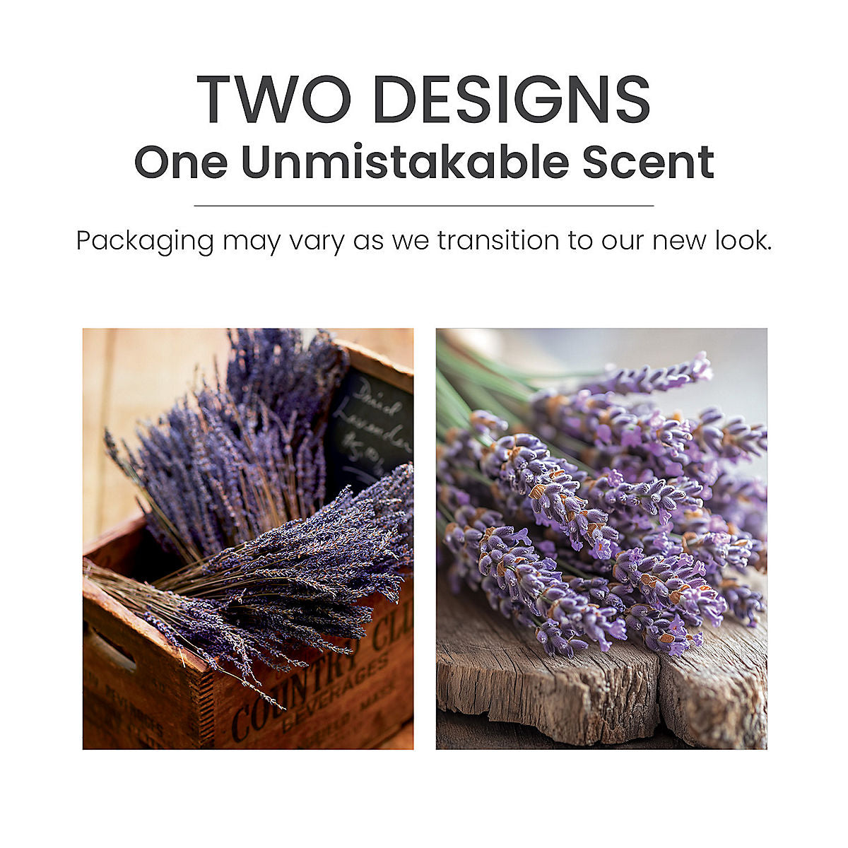 Dried Lavender & Oak Wax Melts - US 50367