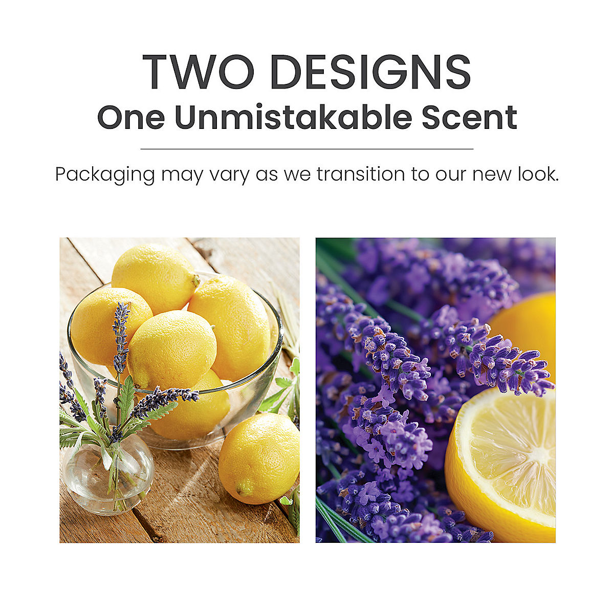Lemon Lavender Scenterpiece® Easy MeltCup - US 94887