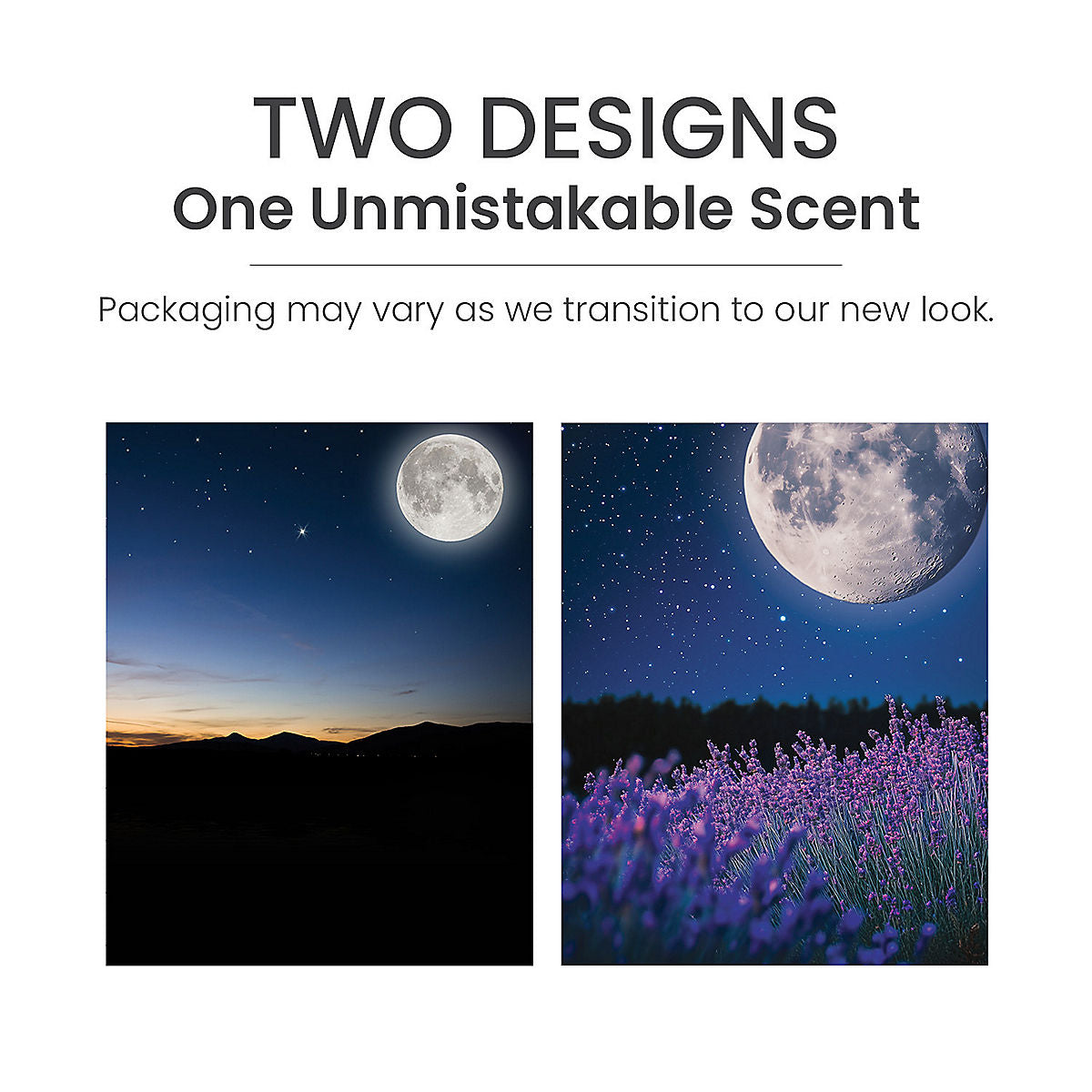 MidSummer's Night® ScentPlug® Refill - US 64298