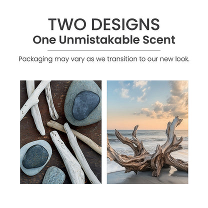 Seaside Woods ScentPlug® Refill - US 11211
