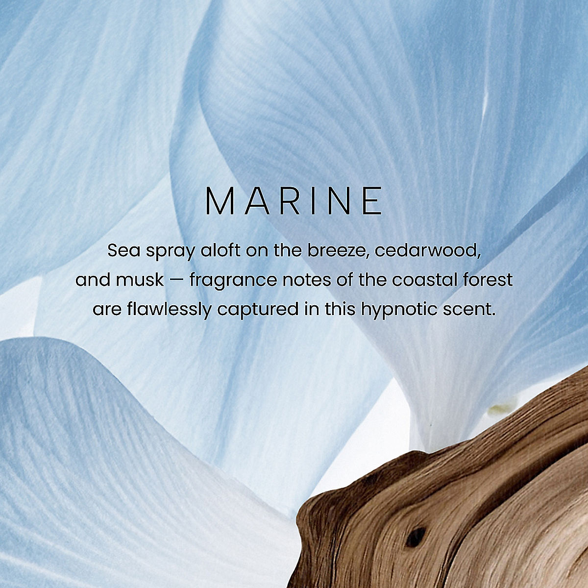 Marine Premium Reed Diffuser - US 67694