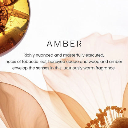 Amber Premium Single-Wick 7oz Candle - US 05398