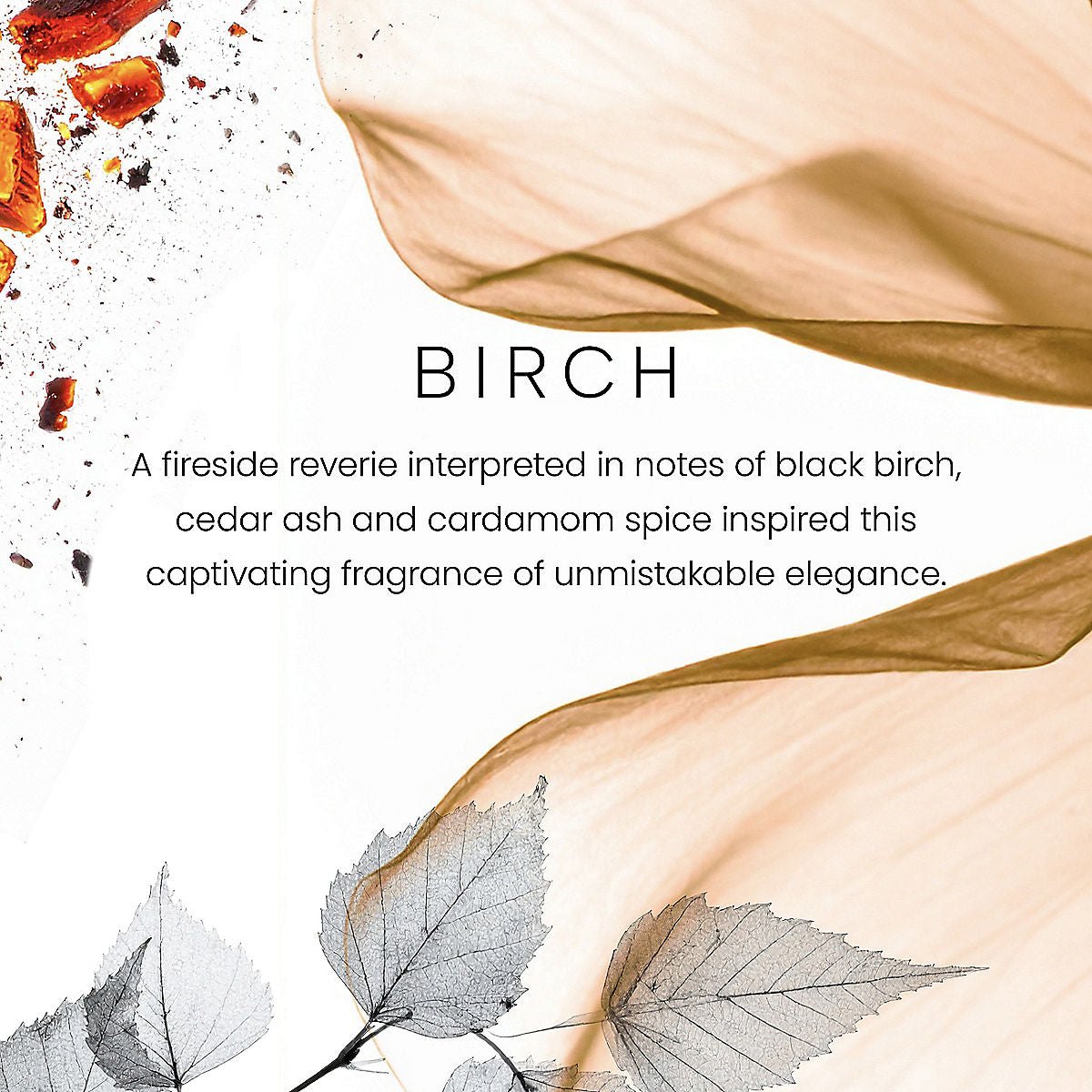 Birch Premium Single-Wick 7oz Candle - US 13811