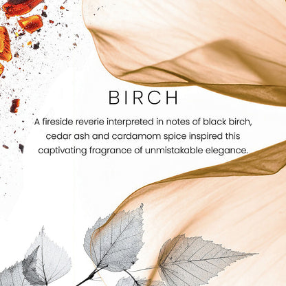 Birch Premium Two-Wick 12oz Candle - US 06905
