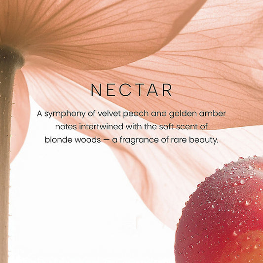 Nectar Premium Single-Wick 7oz Candle - US 26020