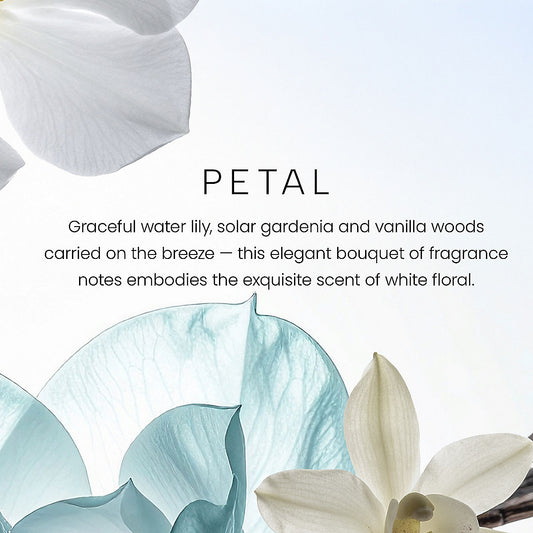 Petal Premium Single-Wick 7oz Candle - US 97811