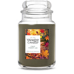 Crisp Forest Air Original Large Jar Candle - US 14505